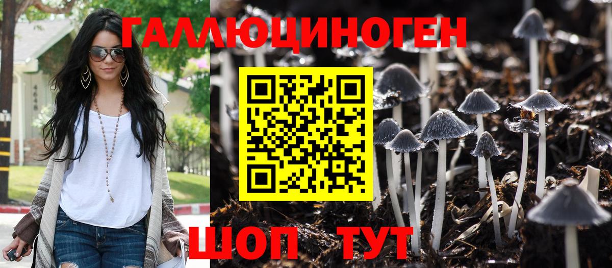 Псилоцибиновые грибы прущие грибы Миллерово